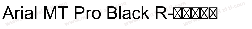 Arial MT Pro Black R字体转换